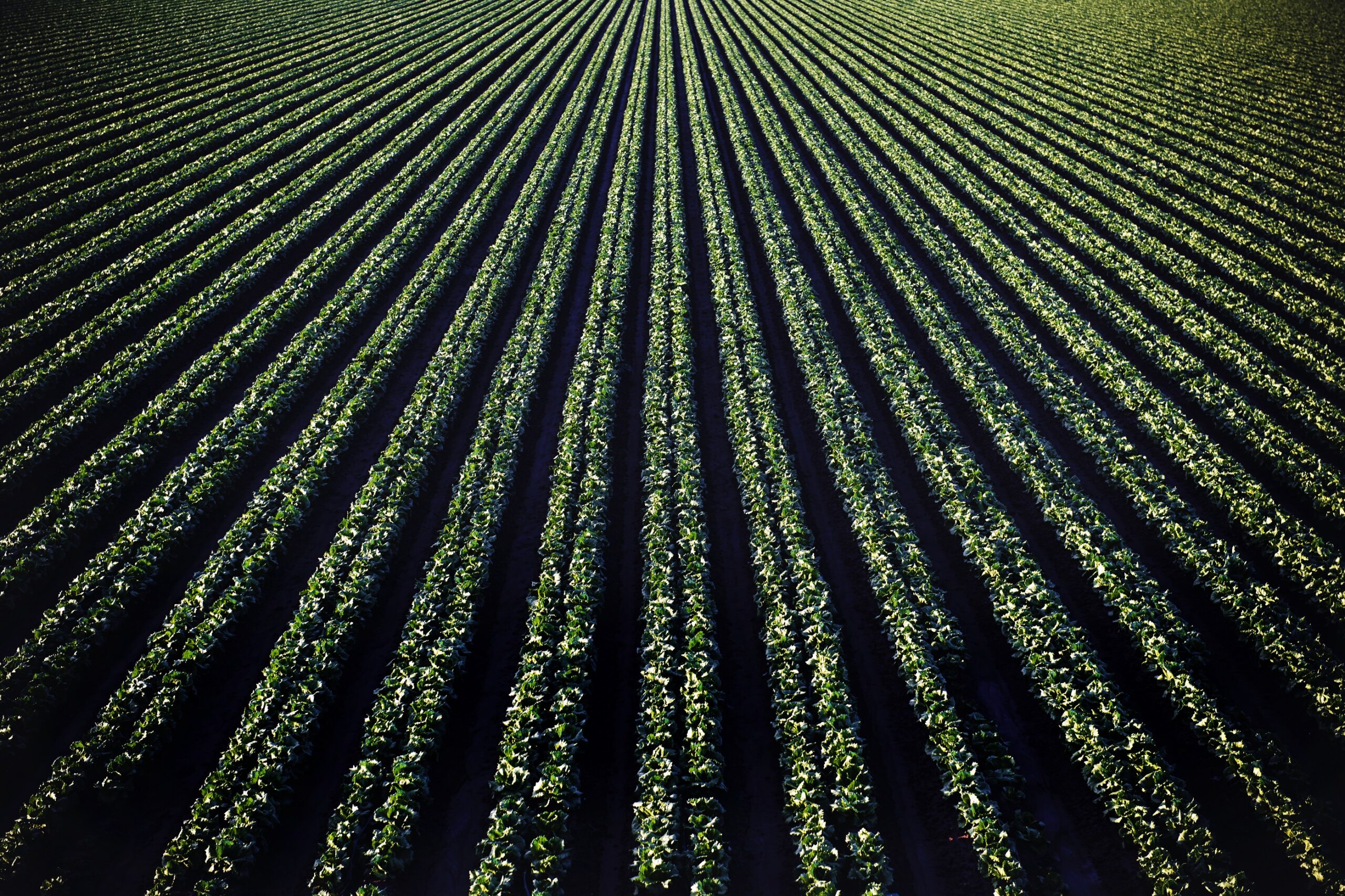 Crop yields